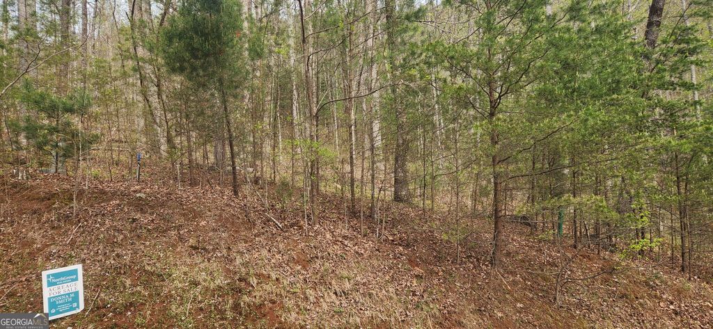 0 (LOT 13) Yellow Trillium, Clayton, GA 30525 — photo 3