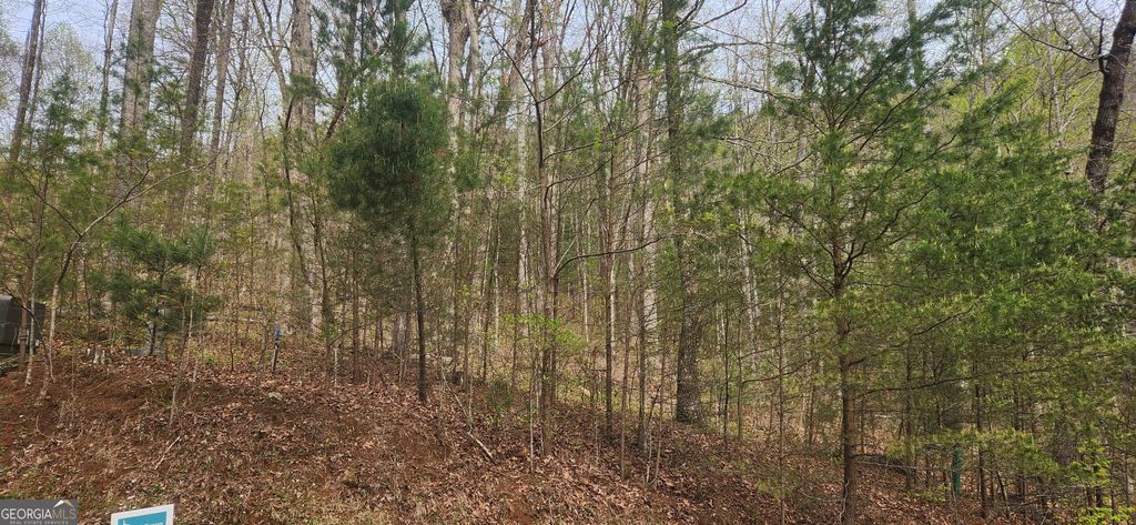 0 (LOT 13) Yellow Trillium, Clayton, GA 30525 — photo 4