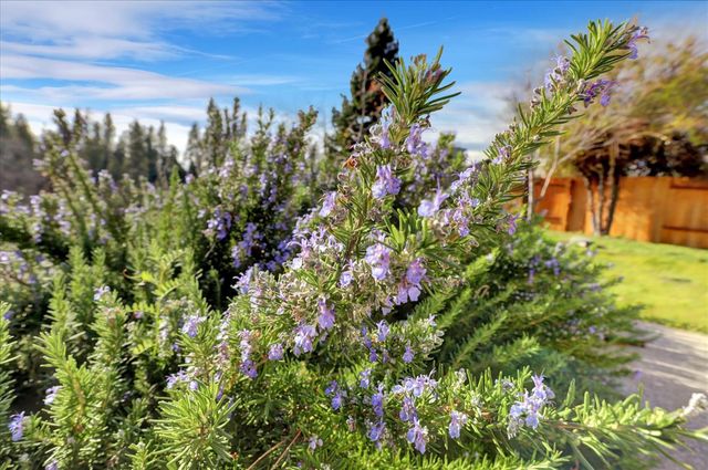 111 Stanford Ct, Grass Valley, CA 95945