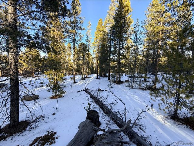 198 Juniper Dr, Twin Lakes, CO 81251