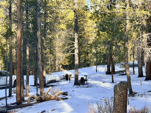 198 Juniper Dr, Twin Lakes, CO 81251