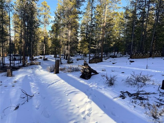 198 Juniper Dr, Twin Lakes, CO 81251