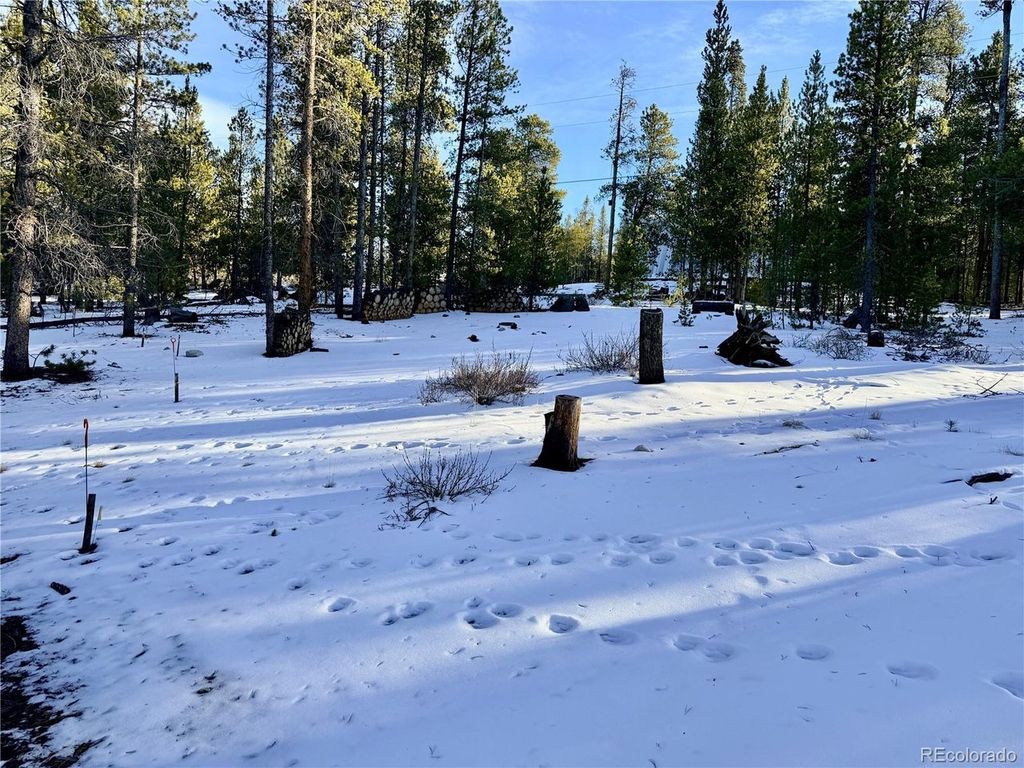 198 Juniper Dr, Twin Lakes, CO 81251