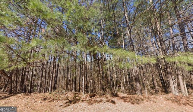 40 Wildcat Creek Drive, Covington, GA 30016