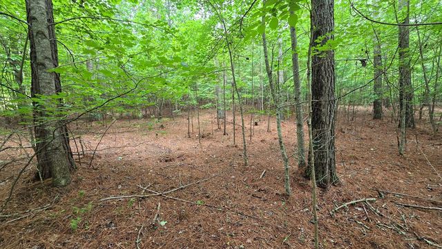 Lot 42 Loftis Mountain Way, Blairsville, GA 30512