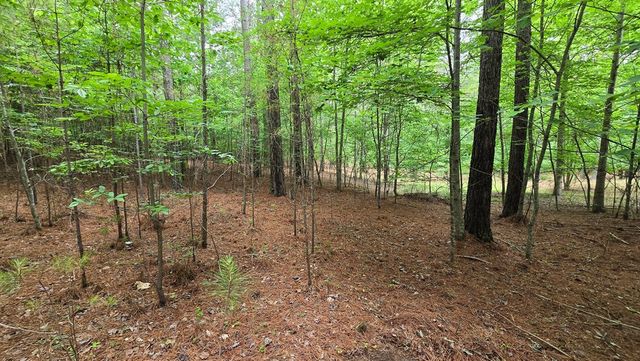 Lot 42 Loftis Mountain Way, Blairsville, GA 30512