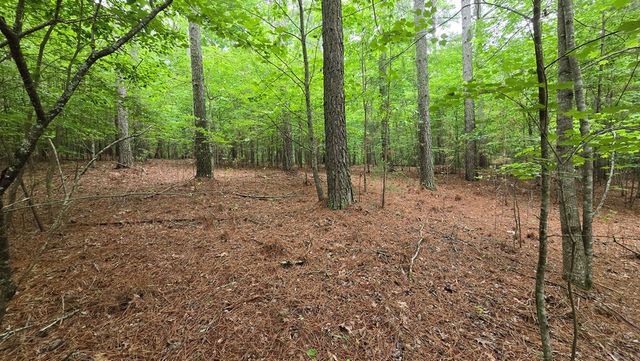 Lot 42 Loftis Mountain Way, Blairsville, GA 30512