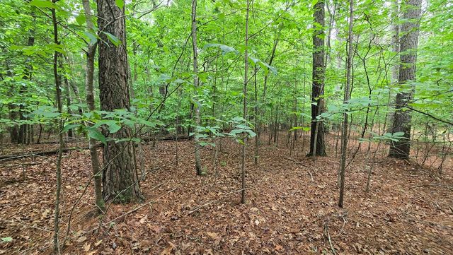 Lot 42 Loftis Mountain Way, Blairsville, GA 30512