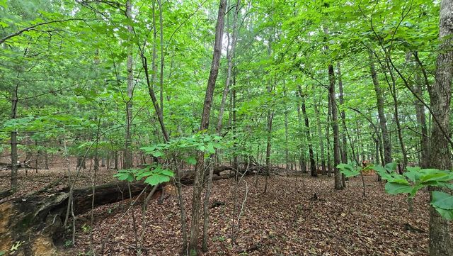 Lot 42 Loftis Mountain Way, Blairsville, GA 30512
