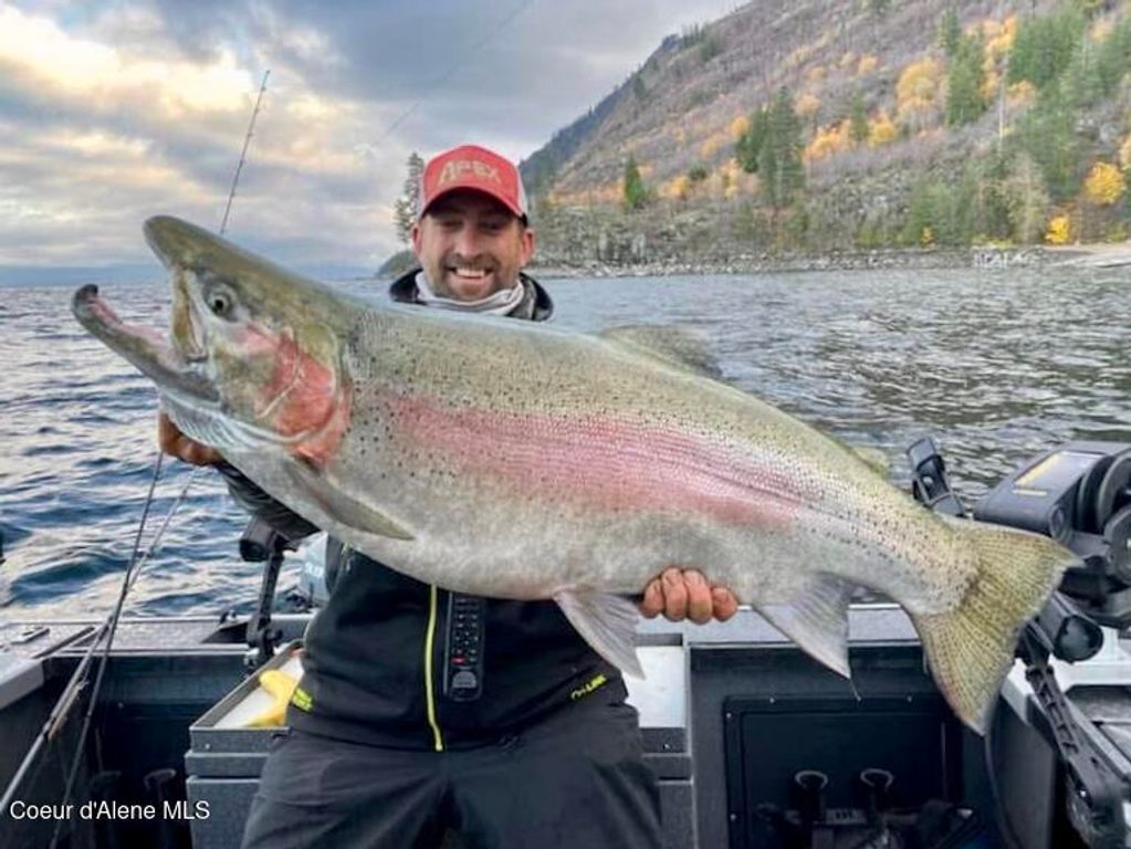 1770&1808 Garfield Bay Rd, Sagle, ID 83860 photo 138