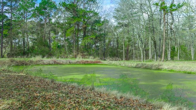 9139 N State Highway 94, Groveton, TX 75845