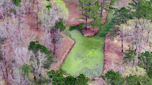 9139 N State Highway 94, Groveton, TX 75845