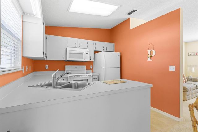 213 WILLOW BROOK DRIVE, Leesburg, FL 34748