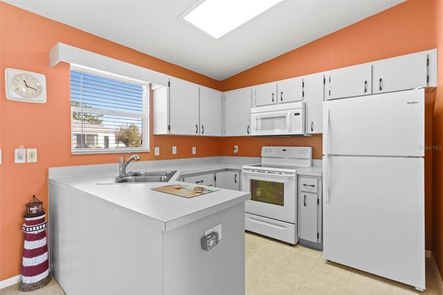 213 WILLOW BROOK DRIVE, Leesburg, FL 34748