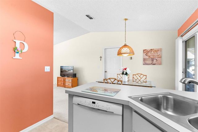 213 WILLOW BROOK DRIVE, Leesburg, FL 34748