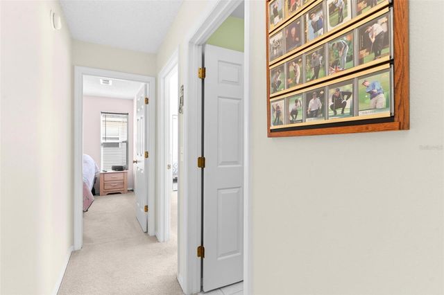 213 WILLOW BROOK DRIVE, Leesburg, FL 34748