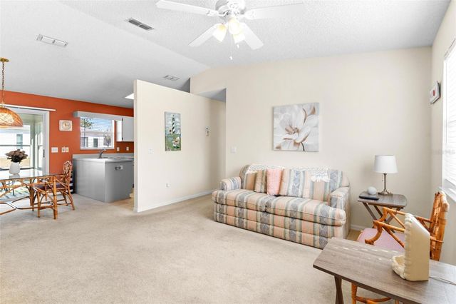 213 WILLOW BROOK DRIVE, Leesburg, FL 34748