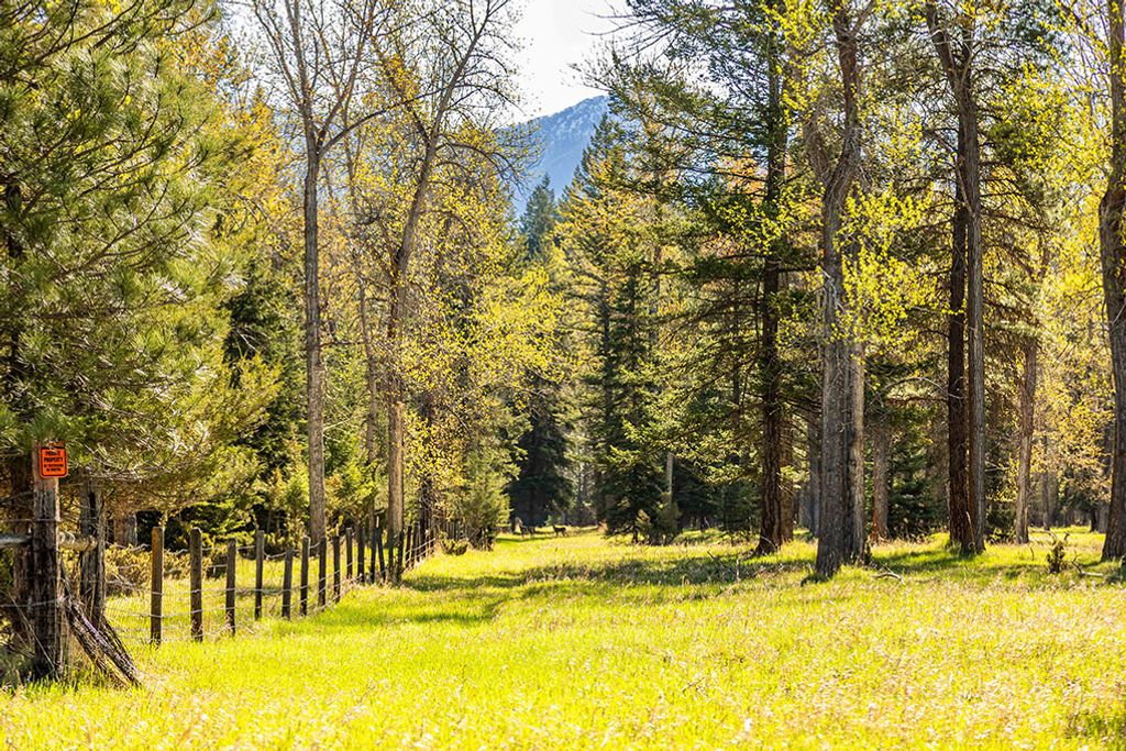 560 Windfield Lane, Columbia Falls, MT 59912 photo 23