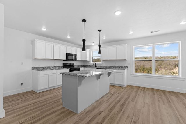 128 Sapling Drive, Branson, MO 65616