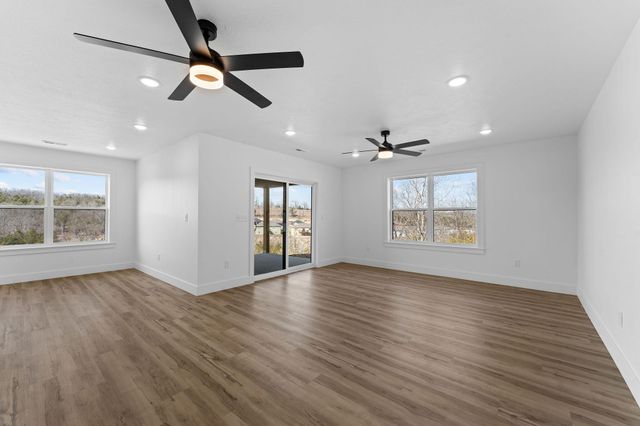 128 Sapling Drive, Branson, MO 65616