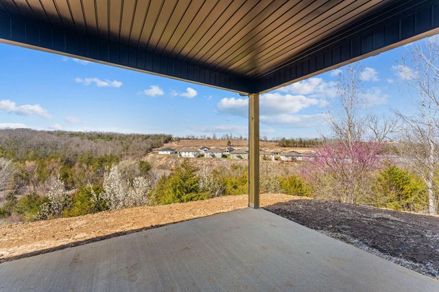 128 Sapling Drive, Branson, MO 65616