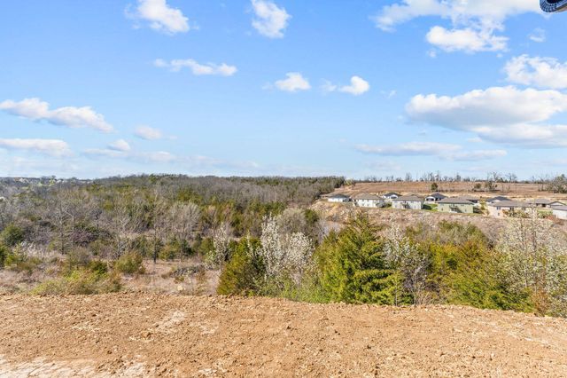 128 Sapling Drive, Branson, MO 65616