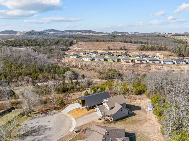 128 Sapling Drive, Branson, MO 65616