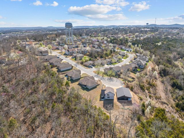 128 Sapling Drive, Branson, MO 65616