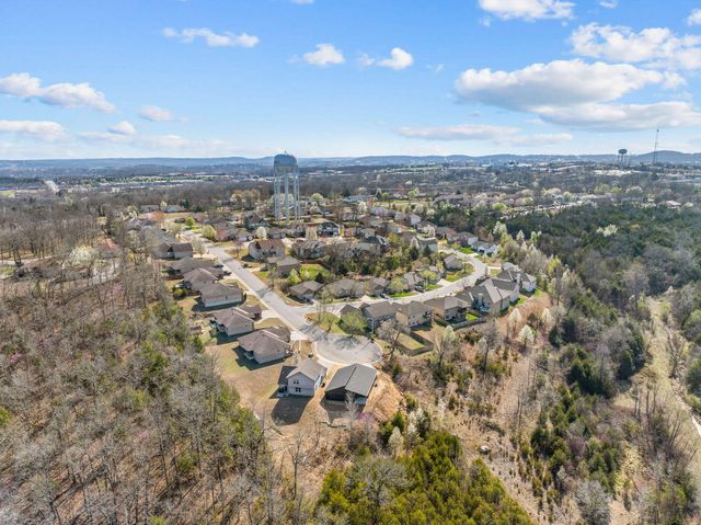 128 Sapling Drive, Branson, MO 65616