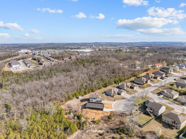 128 Sapling Drive, Branson, MO 65616