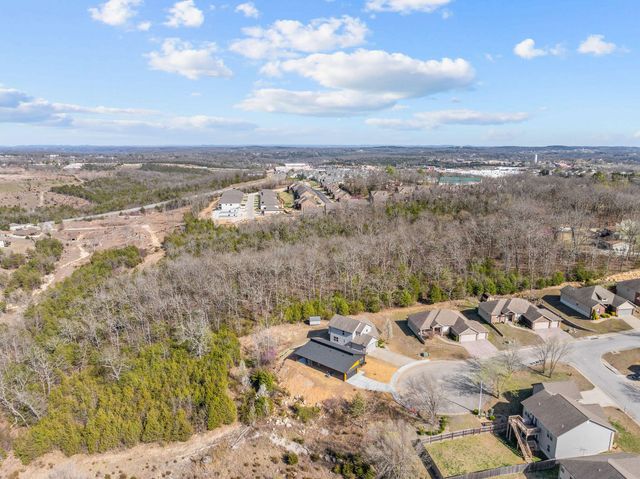 128 Sapling Drive, Branson, MO 65616