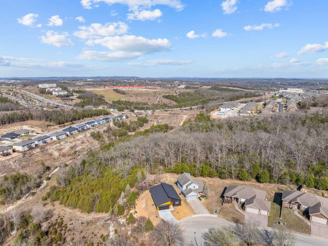 128 Sapling Drive, Branson, MO 65616