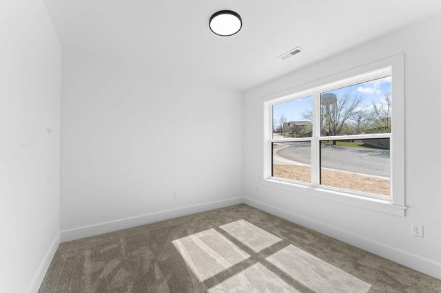 128 Sapling Drive, Branson, MO 65616