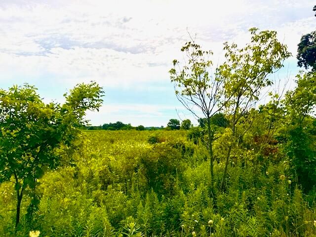 0 Carpenter Road, Three Oaks, MI 49128