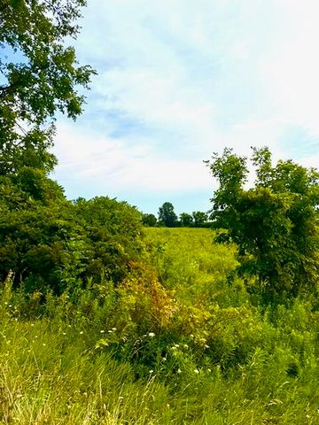 0 Carpenter Road, Three Oaks, MI 49128