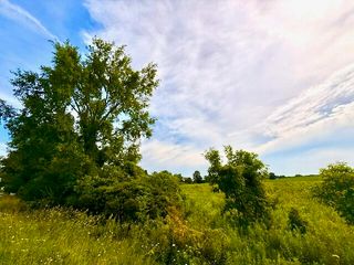 0 Carpenter Road, Three Oaks, MI 49128