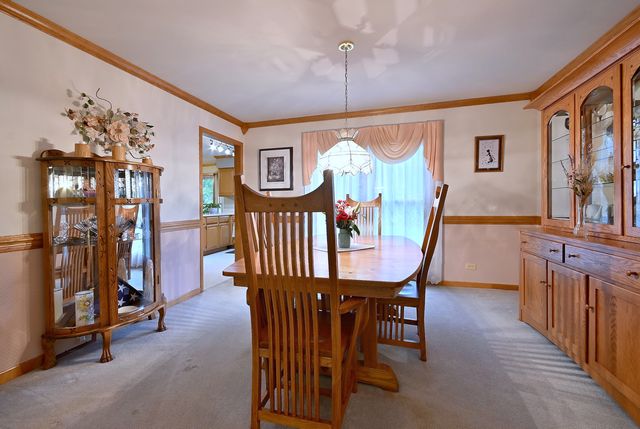 213 John Drive, Bartlett, IL 60103