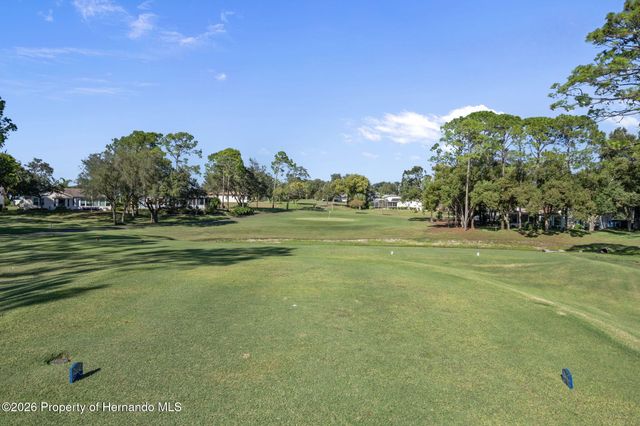 7167 Crown Oaks Drive, Spring Hill, FL 34606