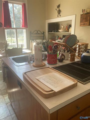 307 College Avenue, Stevenson, AL 35772