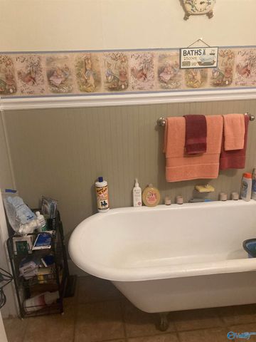 307 College Avenue, Stevenson, AL 35772