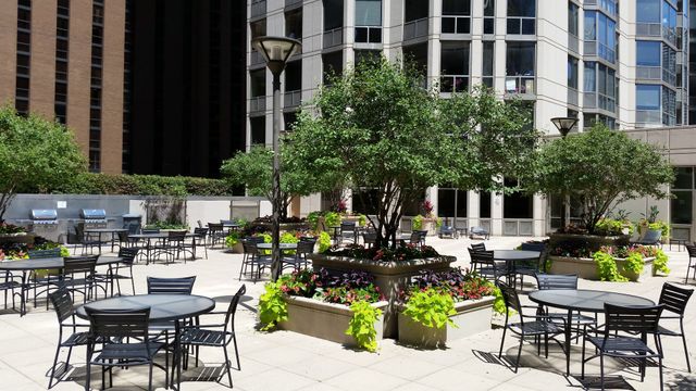 222 N COLUMBUS Drive 3607, Chicago, IL 60601