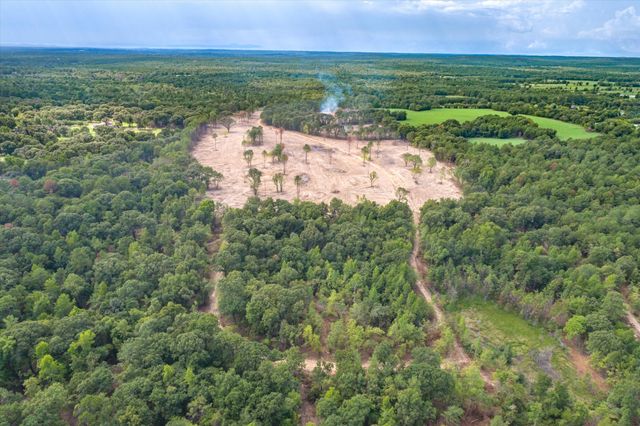 Tract 1 - TBD County Road 4307 Road, Larue, TX 75770