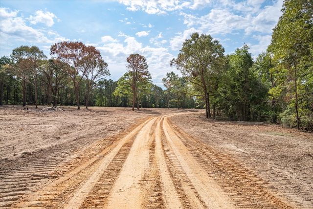 Tract 1 - TBD County Road 4307 Road, Larue, TX 75770