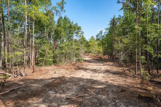 Tract 1 - TBD County Road 4307 Road, Larue, TX 75770