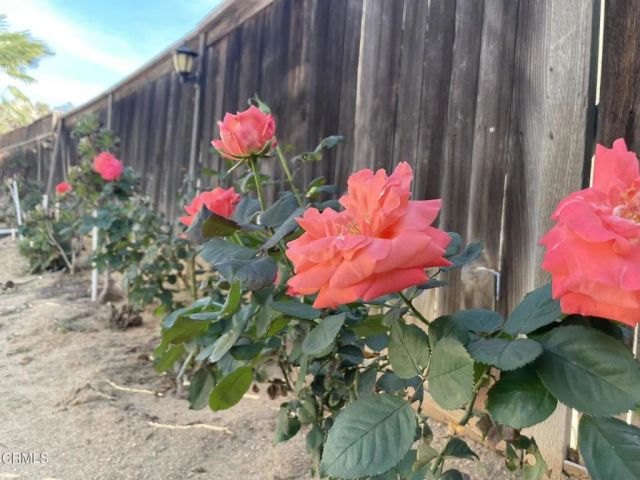 22253 Summer Holly Avenue, Moreno Valley, CA 92553