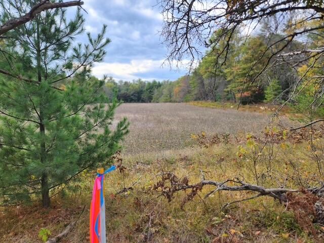 Parcel J Tatanka Trail, Baldwin, MI 49304