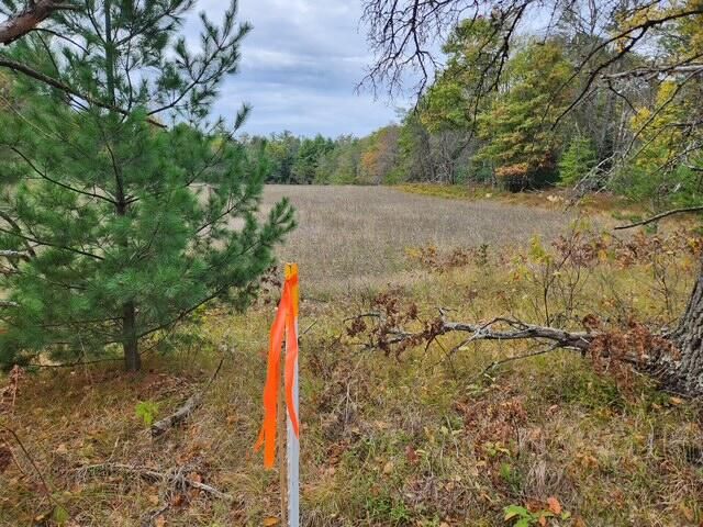 Parcel J Tatanka Trail, Baldwin, MI 49304