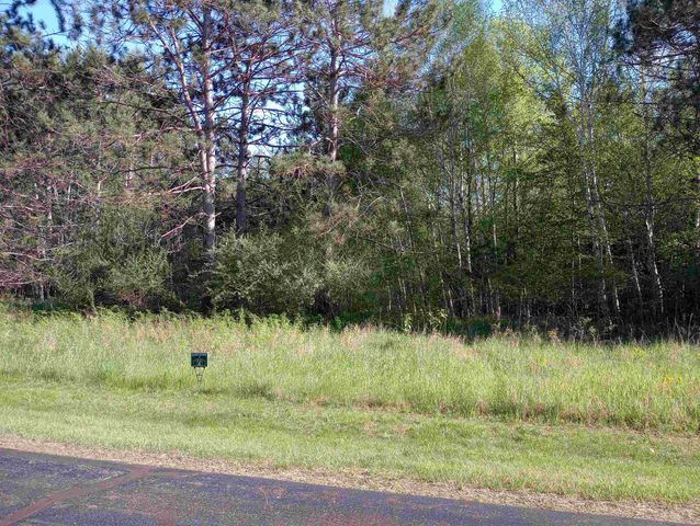 Lot 5 Castleview Court, Gladwin, MI 48624