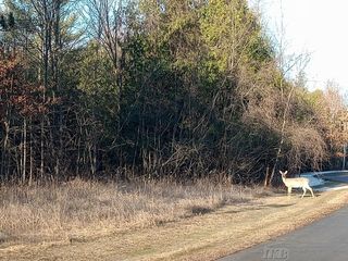 Lot 5 Castleview Court, Gladwin, MI 48624