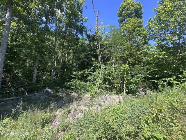 1020 Tomahawk Rd, Jamestown, TN 38556